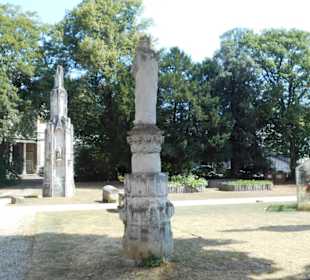 Im Garten des Naturkundemuseum Rouen