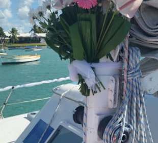 Dreamcatcher sag ja!