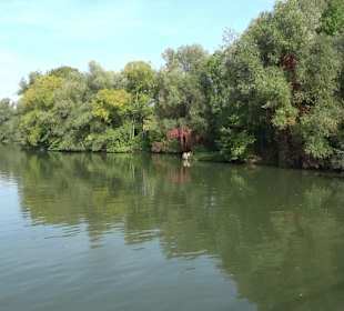 Wanderung zur Burgruine Liebenau