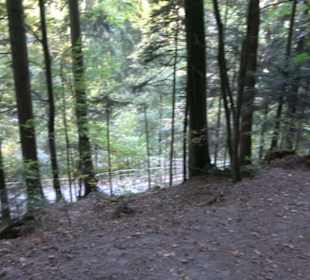 Triberger Wasserfälle