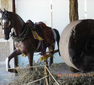 Evrenseki Kultur Museum 06.12.