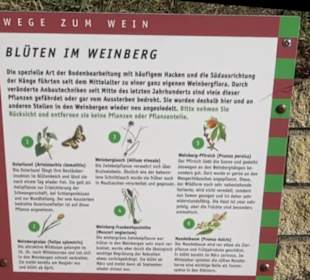 Weinerlebnisweg