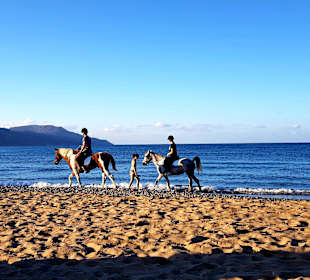 Inselrundfahrt Kreta