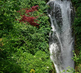 Der - künstlich angelegte - Wasserfall im botanischen Garten