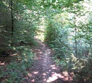 Premiumwanderweg "hochgesprudelt"