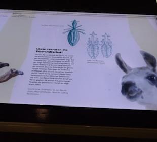 Museum für Naturkunde