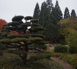 Parkanlage Planten un Blomen