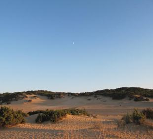 Le dune
