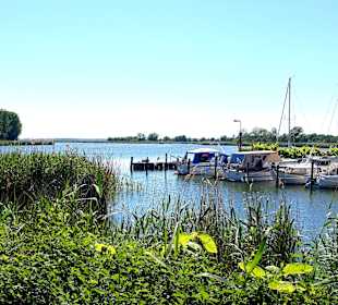 Ausblick vom Ateliergelände