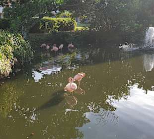 Tour & Ausflug Bayahibe