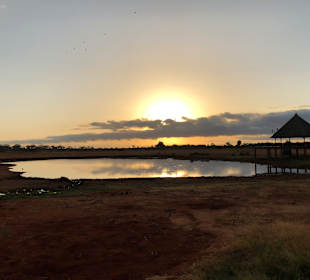 Wasserloch