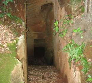 Einzelgrabkammer im Wald