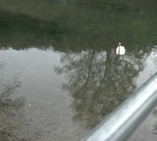 Wanderung rund um das Rusenschloss Gerhausen