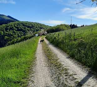 Wandern Lennestadt