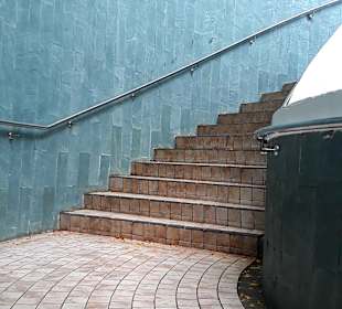 Tree Tunnel Fort Canning Park