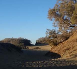 Unser Weg durch die Dünen