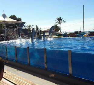 Marineland - Delfinshow - September 2013