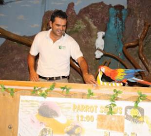 Vogelshow