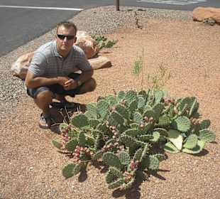 Zion canyon piotr plesiak