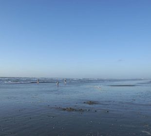 Strand von Greymouth