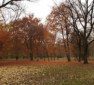 Wyspa Świętej Małgorzaty