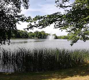Kleiner Frankenteich