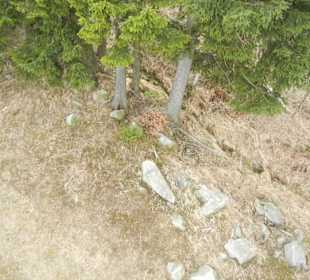 Schneekope/Śnieżka