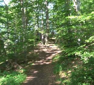 Premiumwanderweg "hochgelegen"
