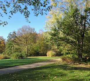 Herbstspaziergang durch den Bürgerpark Bremerhaven