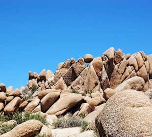 Joshua Tree Nationalpark