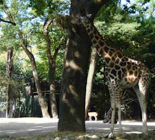 Tierpark Hagenbeck