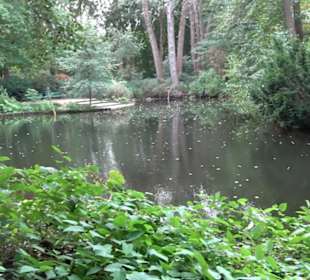 Stufenbrücke