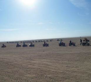 So sehen die Gruppen über die Reiseleiter aus!