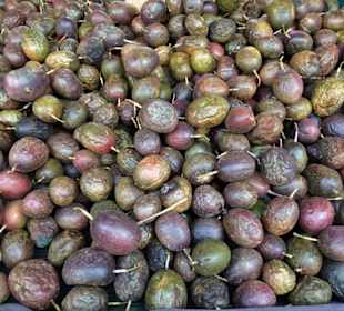 Rundgang über den Marché forain du Front de Mer