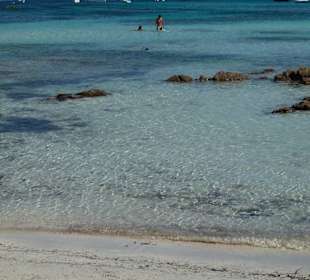 Cala Brandinchi (kleiner Spaziergang vom Club Hotel Baja Bia