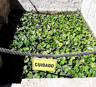 Santa Catalina Kloster