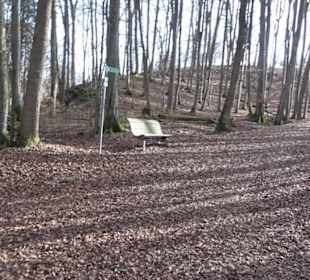 Premiumwanderweg Hohenwittlingensteig