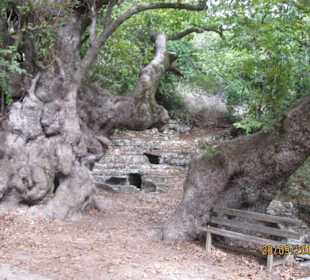 Verschiede Höhlen-Gräber