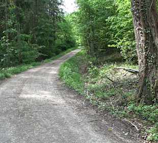 Breitenbachquelle