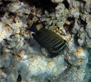 Bilder vom 13.10.16 von mir geschossen