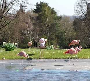 Frühling im Westfalenpark Dortmund