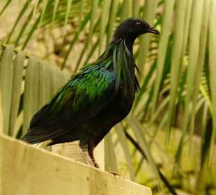 Schöner Zoo in Fuengirola