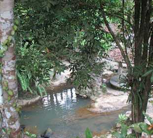 Magic Garden