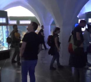 Meeresmuseum Stralsund