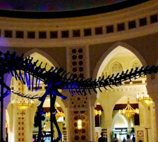 Dinos in Org. Größe