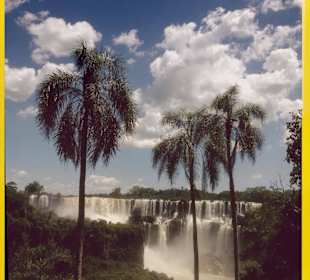 Iguazu 
