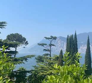 Ausblick