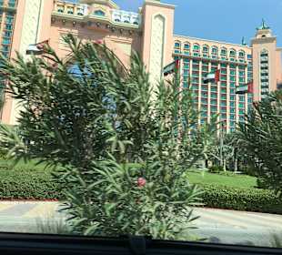 Stadtrundfahrt Dubai