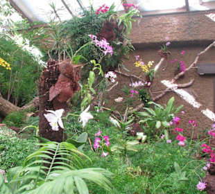 Orchideenhaus