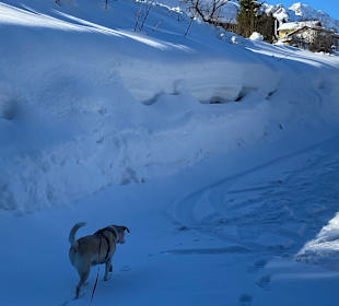 Wandern Annaberg im Lammertal